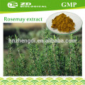 Solvent extraction plant 20% Ursolic Acid Food Grade Rosemary Extract